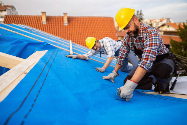 Best Chimney Flashing Repair  in Blackshear, GA